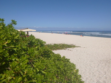 vtc touristique l'ile de la reunion